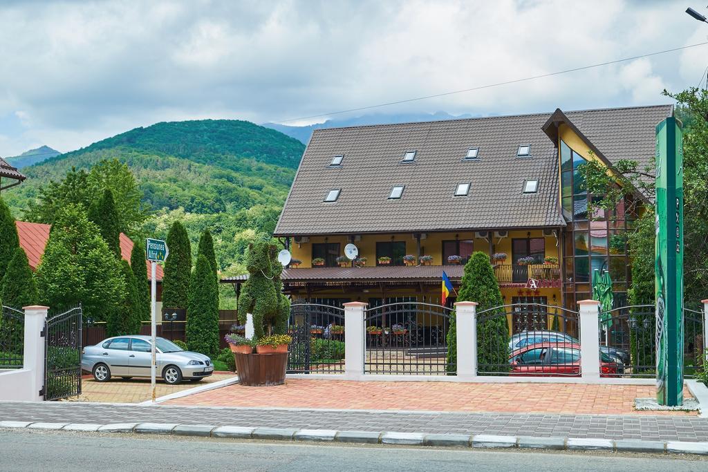 Pensiunea Alfrid Călimăneşti Zewnętrze zdjęcie